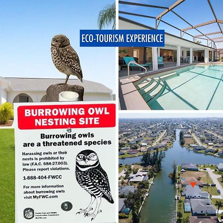 Luxury Waterfront Haven In Cape Coral - Dog-Friendly Escape With Private Pool Villa Eksteriør billede